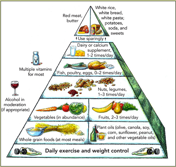 printable food  pyramid